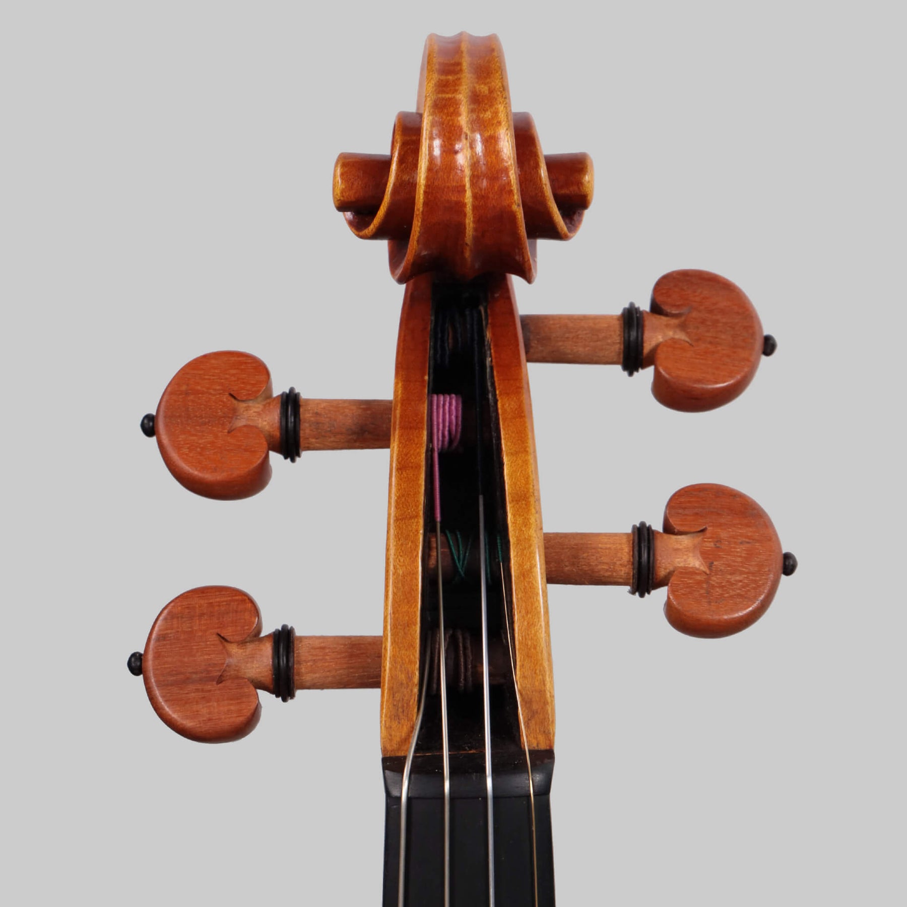 Francesco Pierotti, Cesena Italy, Violin 2020