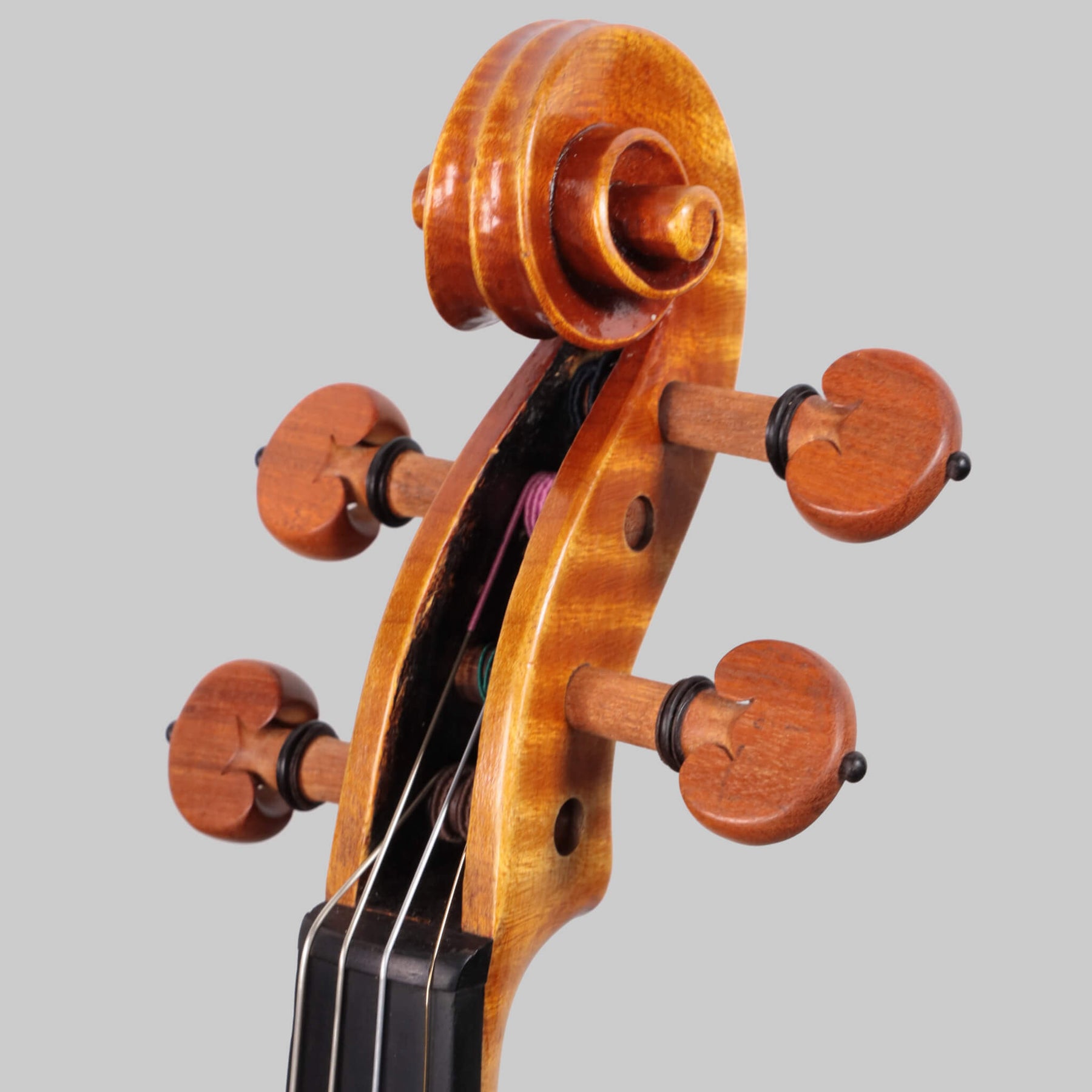 Francesco Pierotti, Cesena Italy, Violin 2020