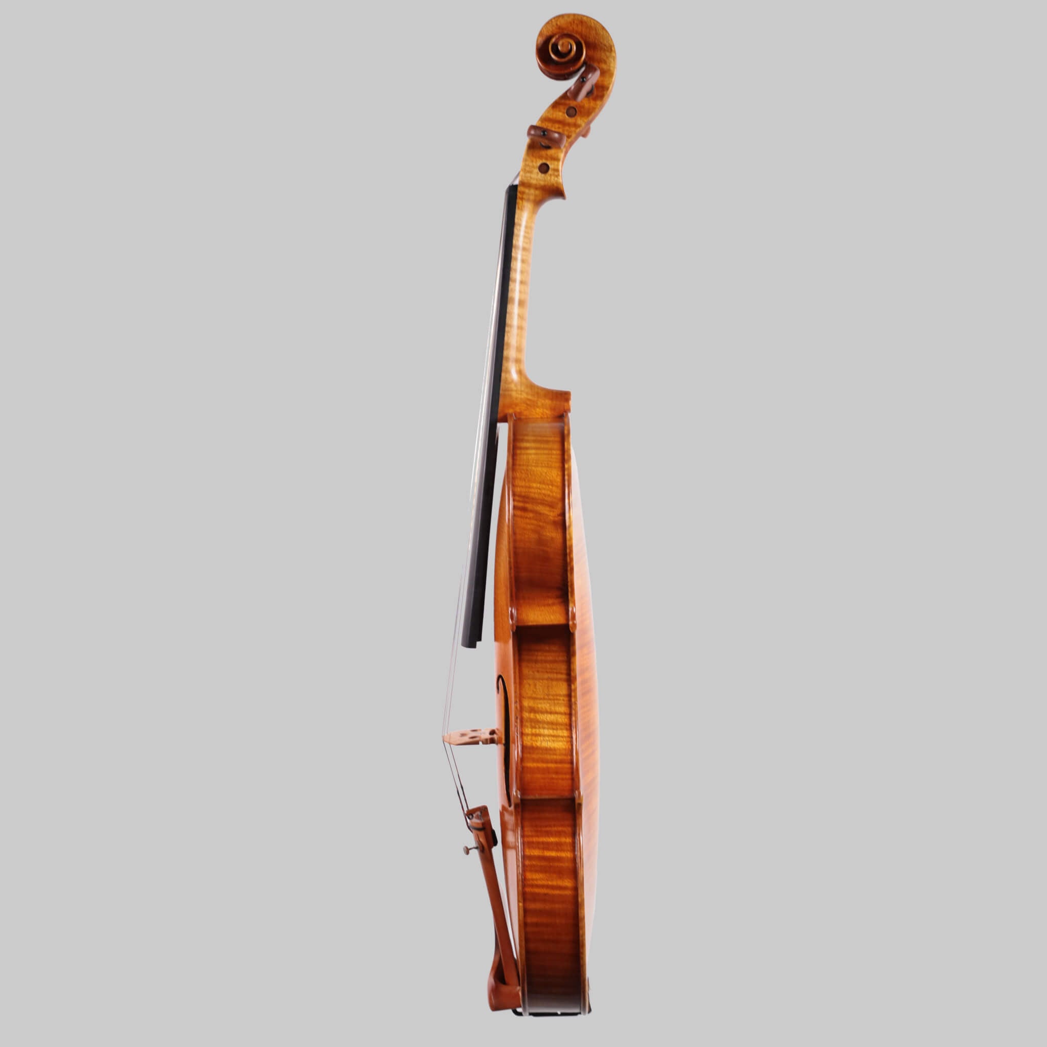 Francesco Pierotti, Cesena Italy, Violin 2020