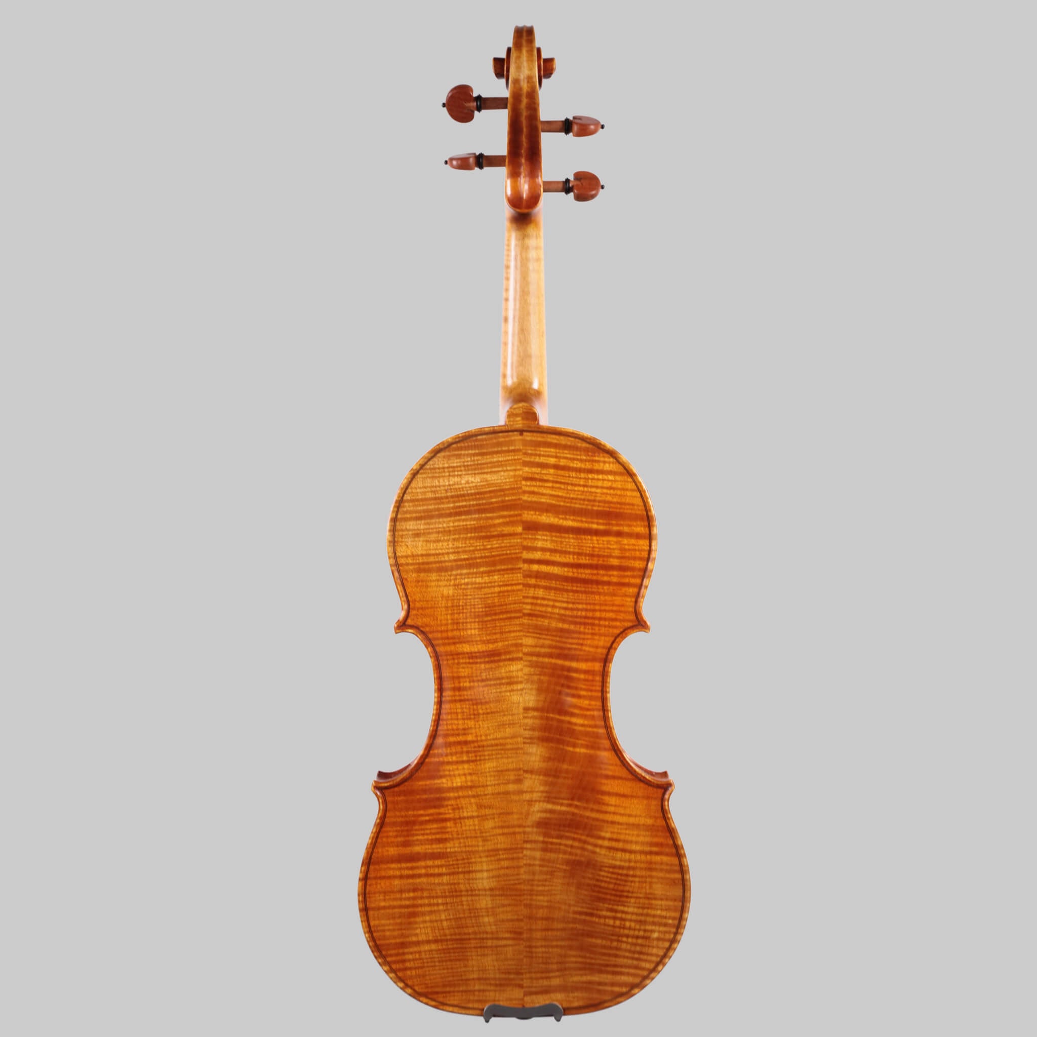 Francesco Pierotti, Cesena Italy, Violin 2020