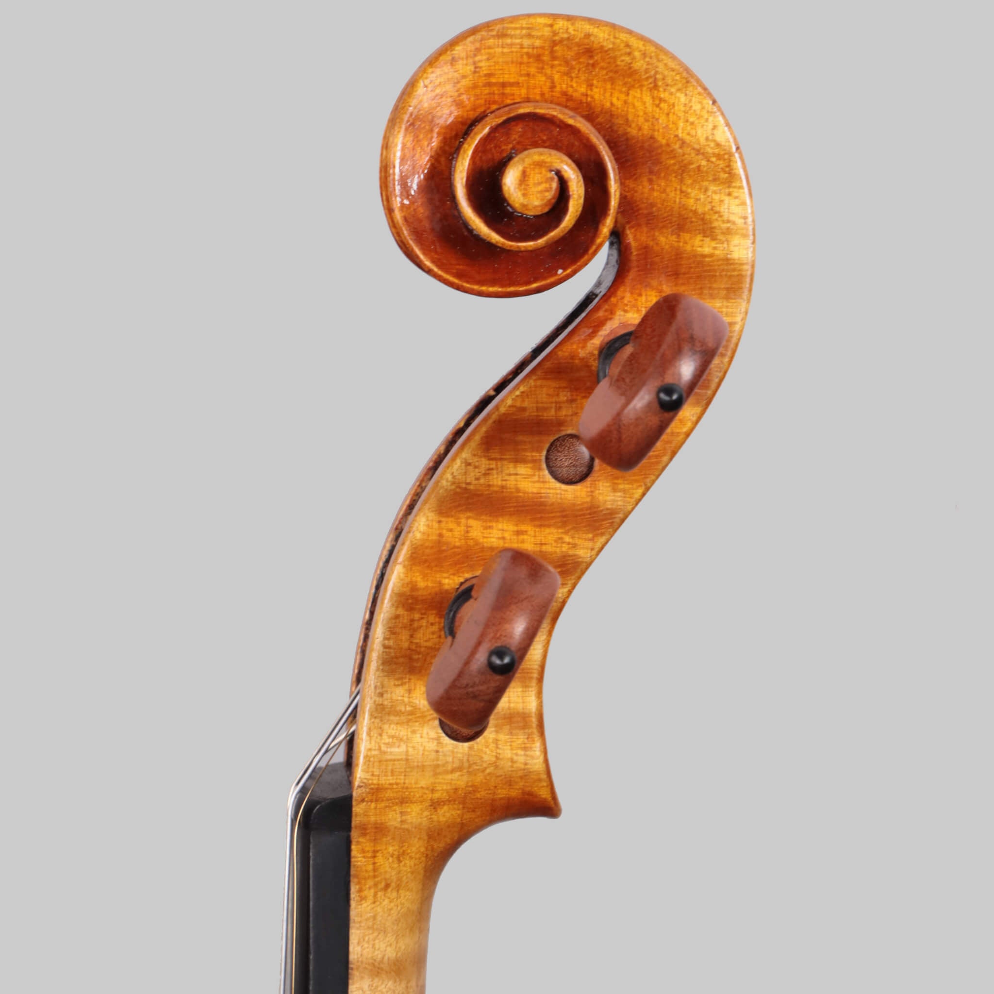 Francesco Pierotti, Cesena Italy, Violin 2020