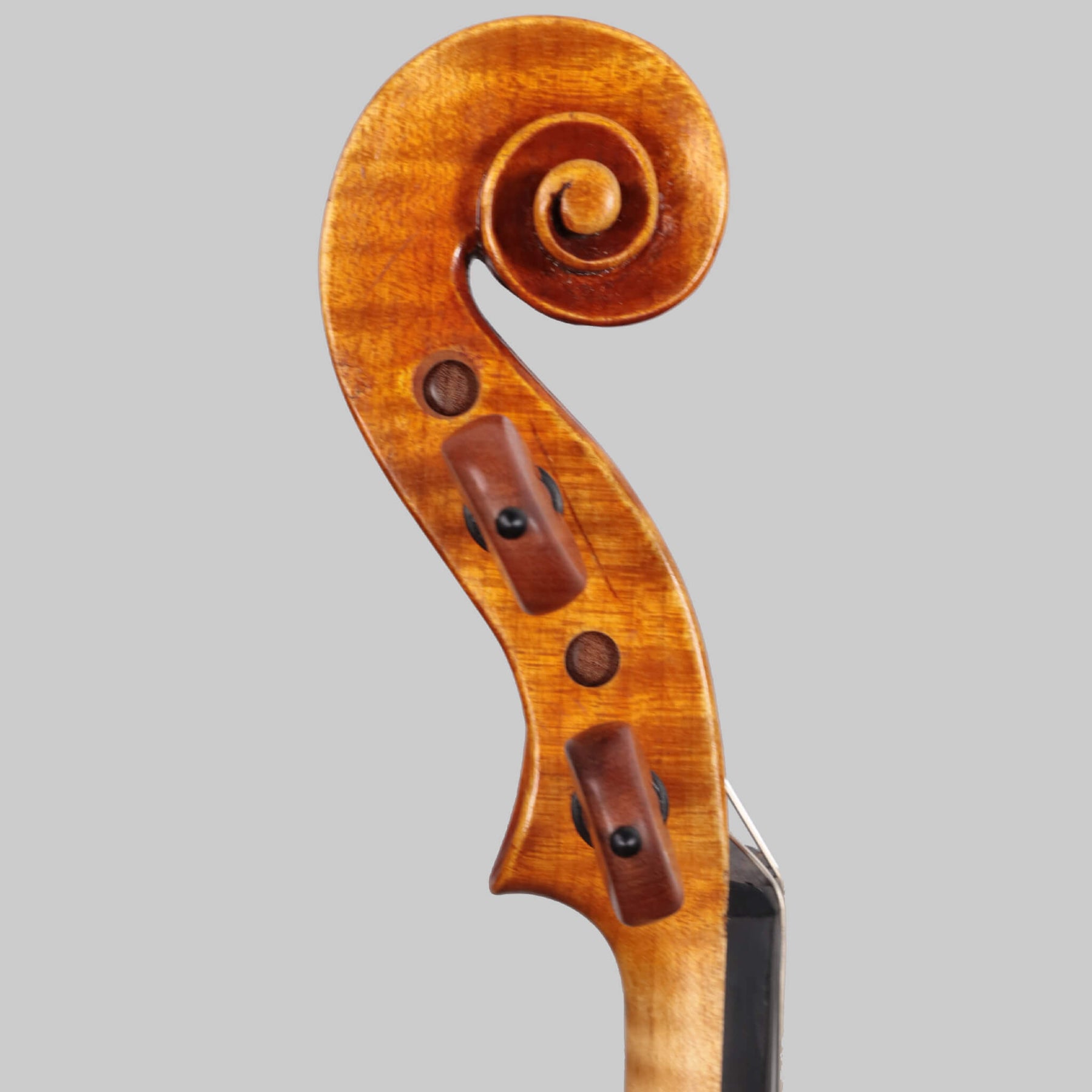 Francesco Pierotti, Cesena Italy, Violin 2020