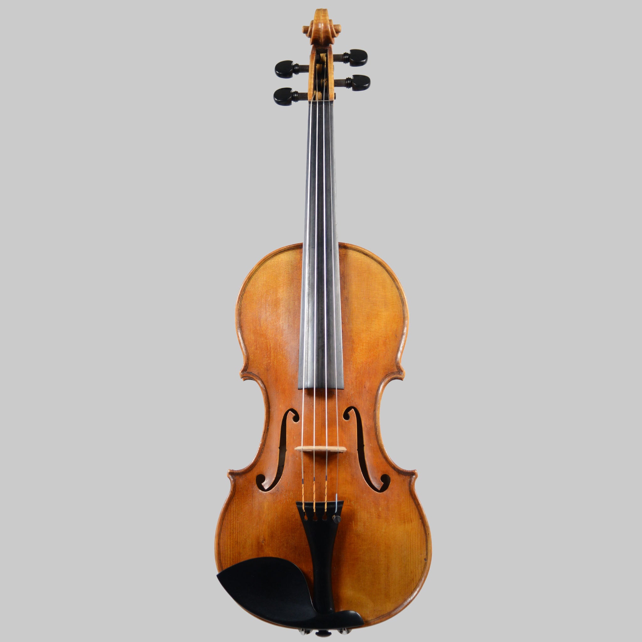 Francesco Pierotti, Cesena Italy, Guarneri 'Canary Bird' Violin 2022