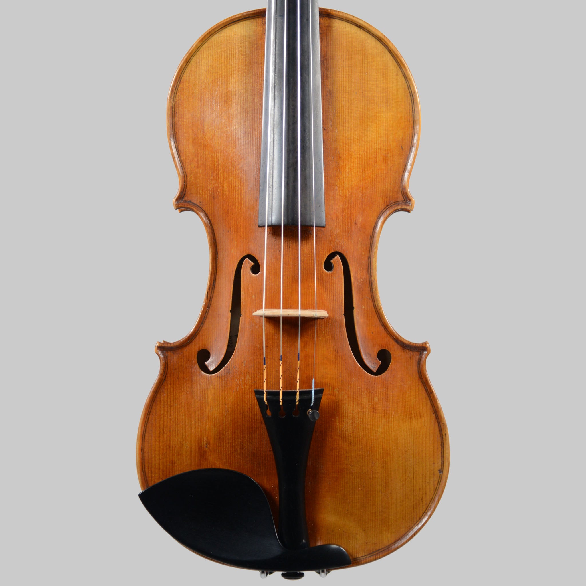 Francesco Pierotti, Cesena Italy, Guarneri 'Canary Bird' Violin 2022