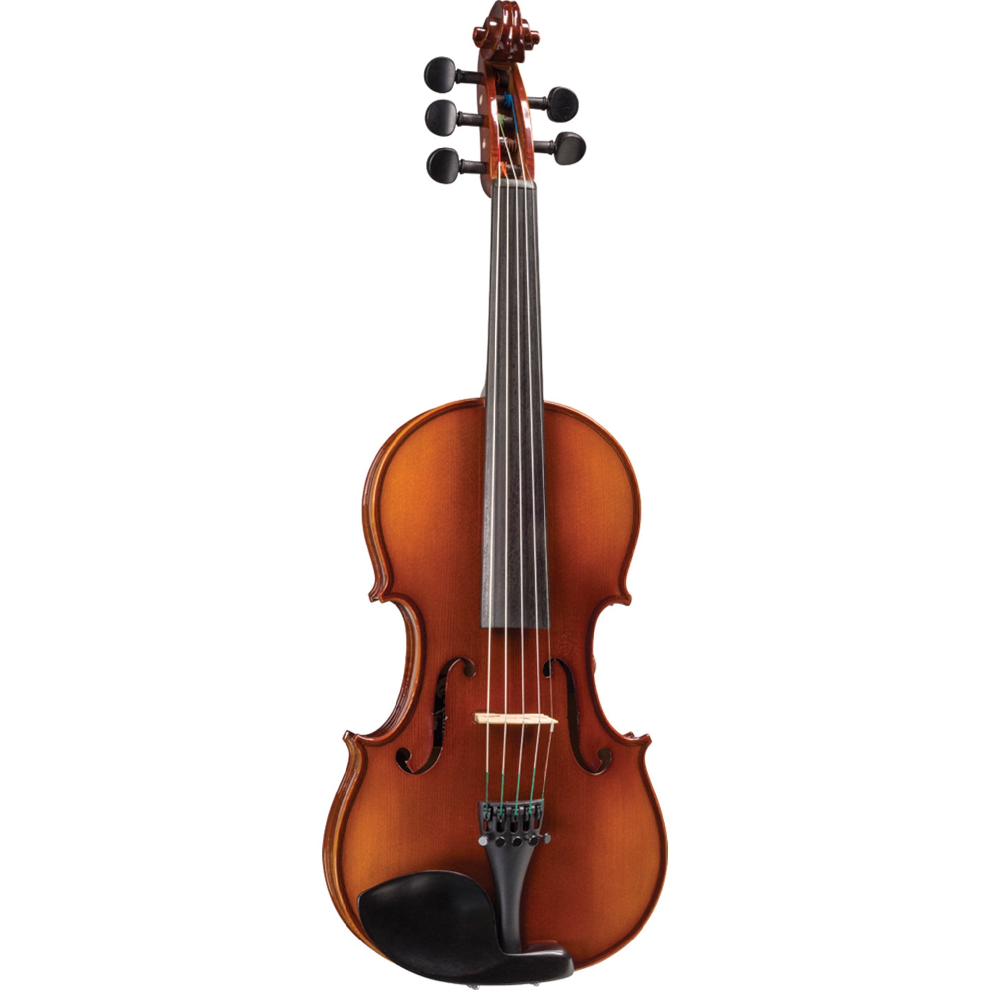 5 2024 string cello