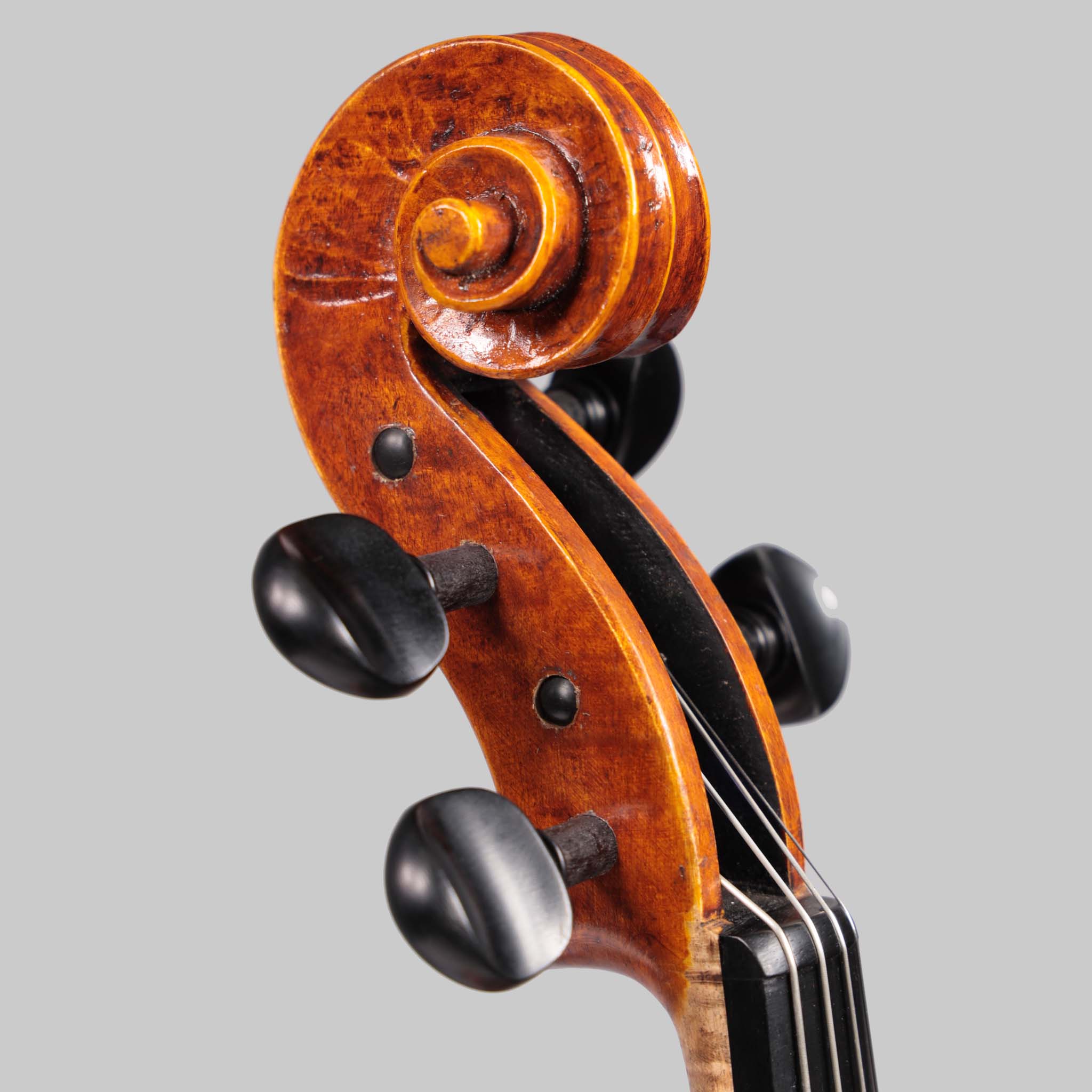 Martin Sheridan 15.5" Viola 2020