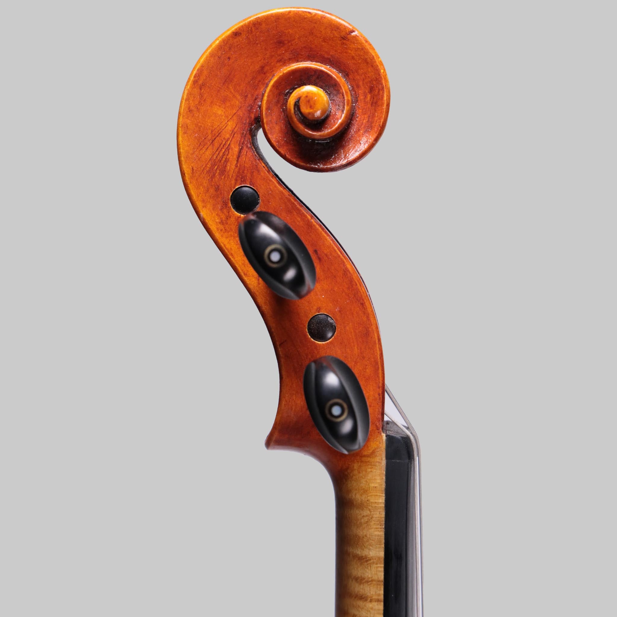 Martin Sheridan 16.25" Viola, 2021