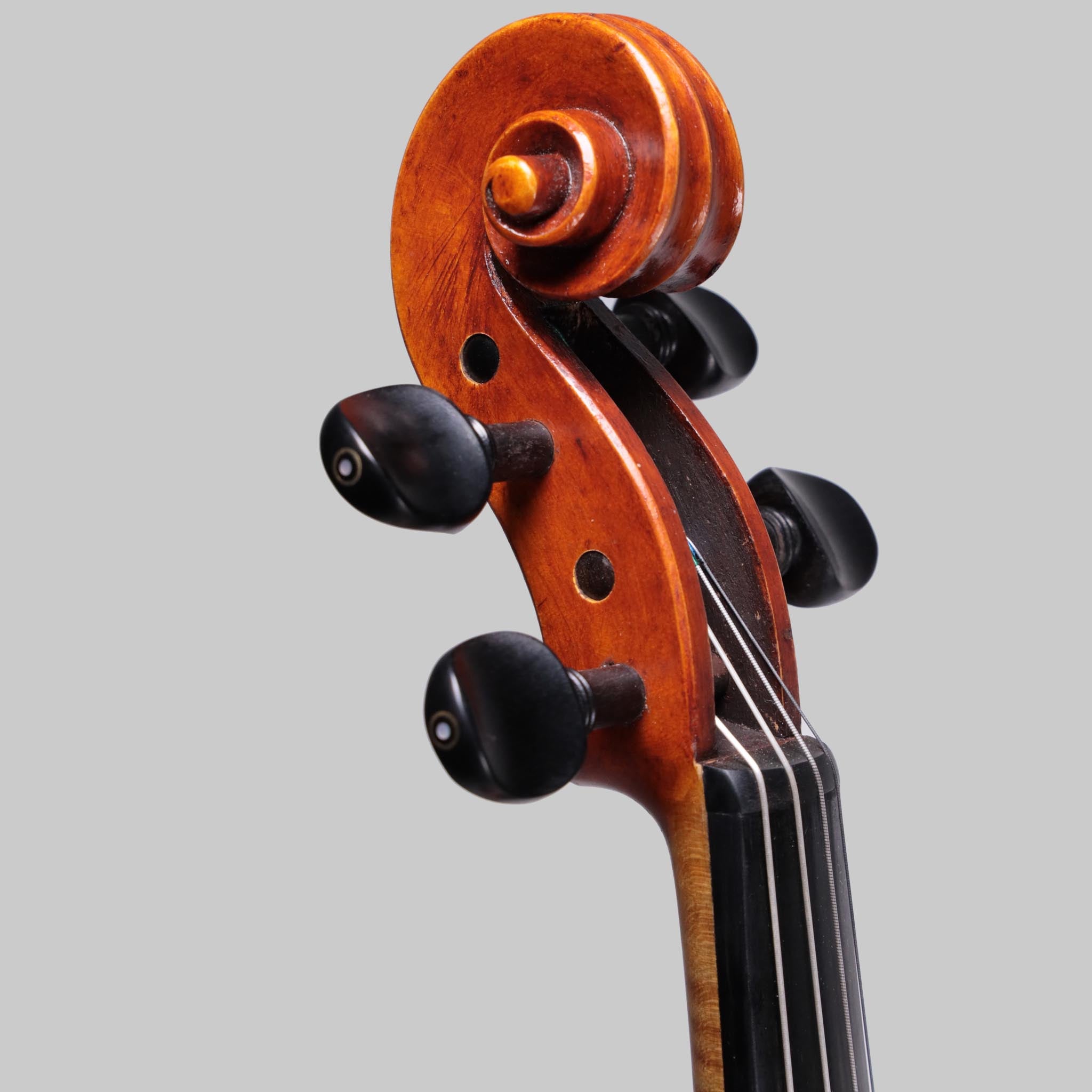 Martin Sheridan 16.25" Viola, 2021