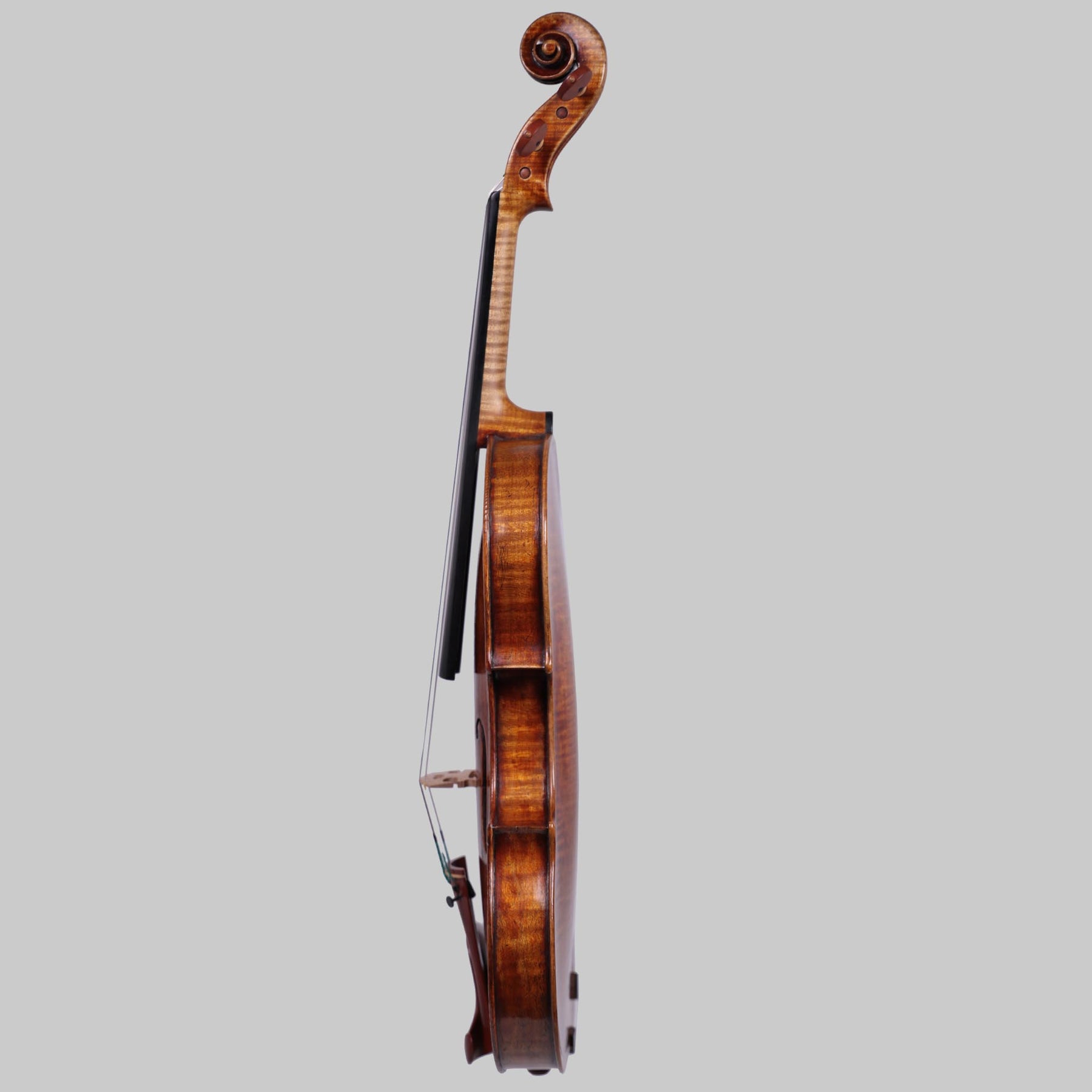 Stefano Gibertoni, Milan "Regent" Stradivarius 1708 Violin 2021
