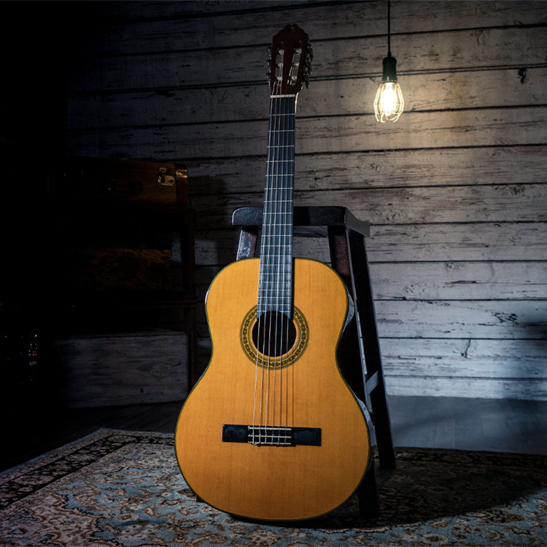 Washburn C40 Acoustic Classical Guitar