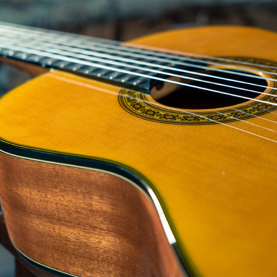 Washburn C40 Acoustic Classical Guitar