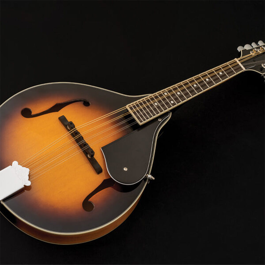 Washburn Americana M1 Mandolin Outfit