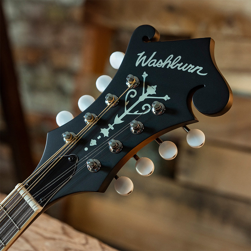 Washburn Americana M3E Acoustic-Electric Mandolin Outfit