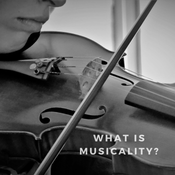 What is Musicality?
