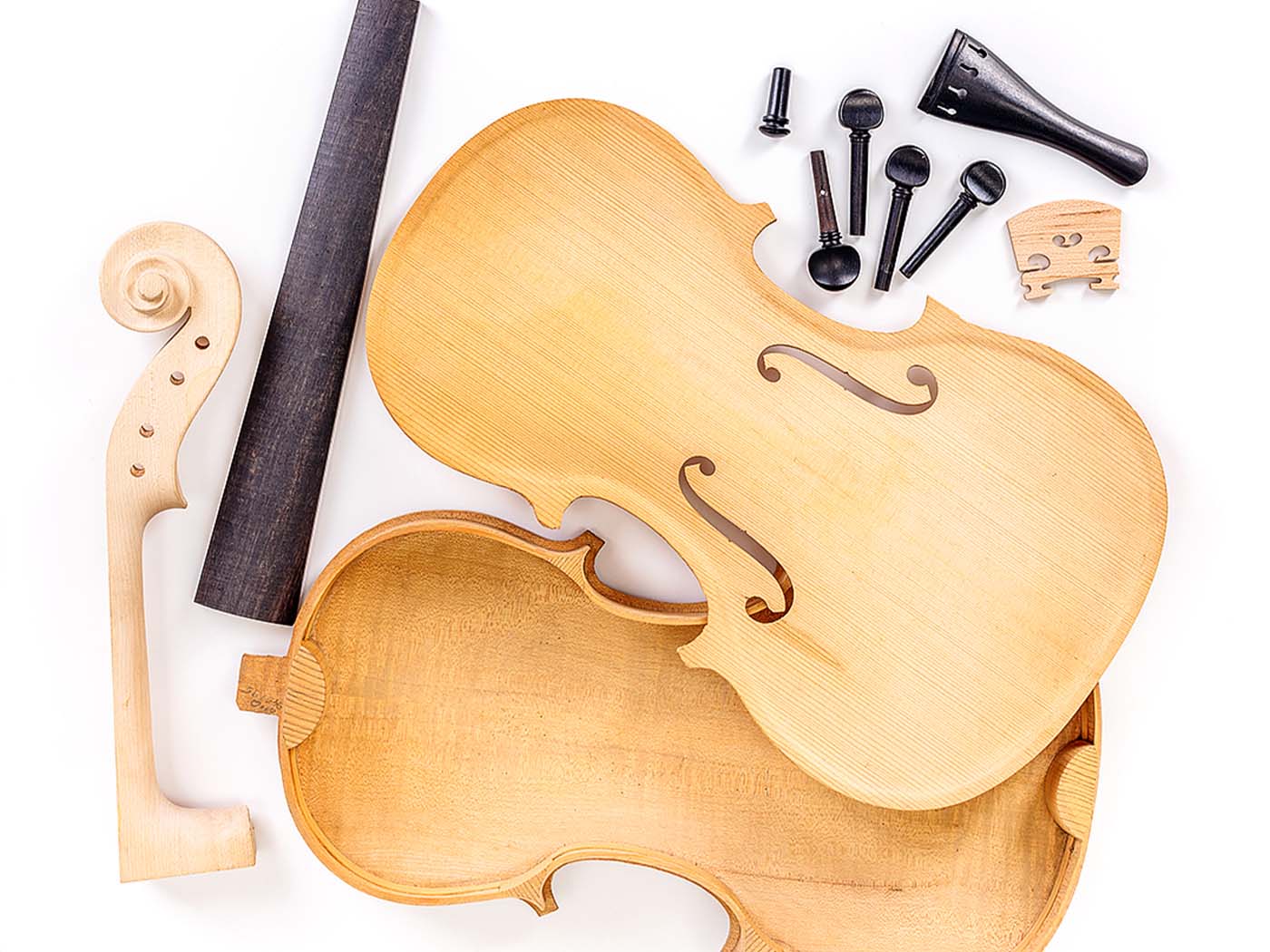 Anatomy of the Violin and the Bow