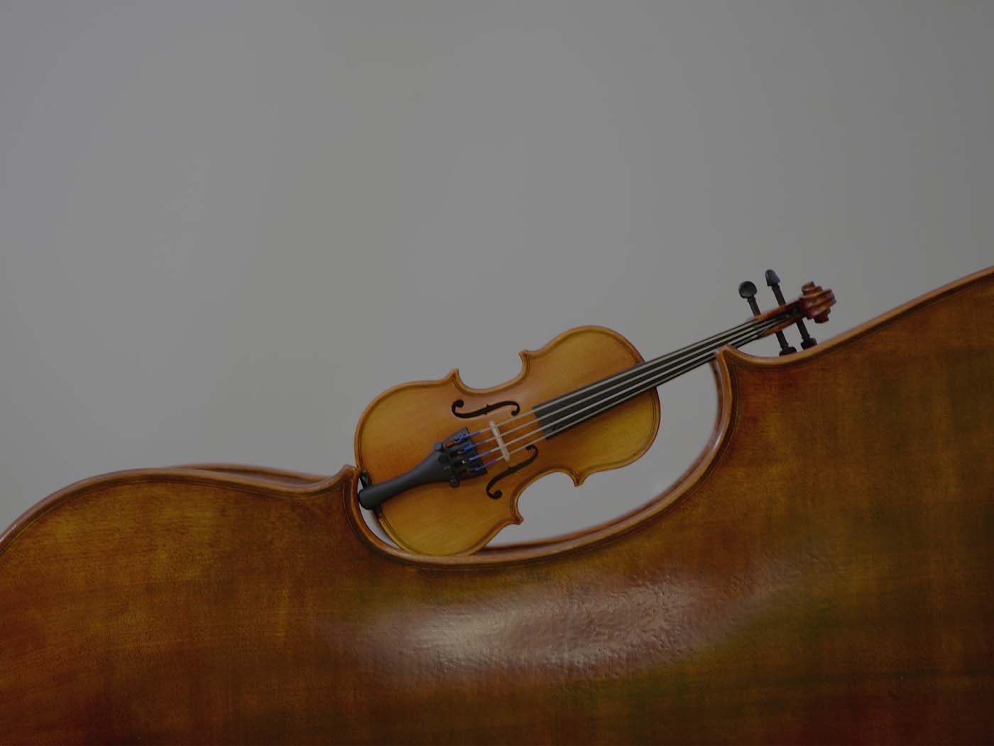 25+ Fascinating Violin Facts That Will Surprise You