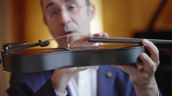 Welcome To Your Forte3D Violin