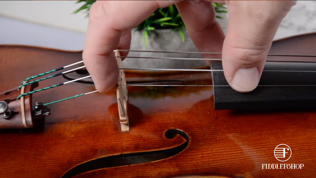 Stop buzzing sounds coming from your violin or viola