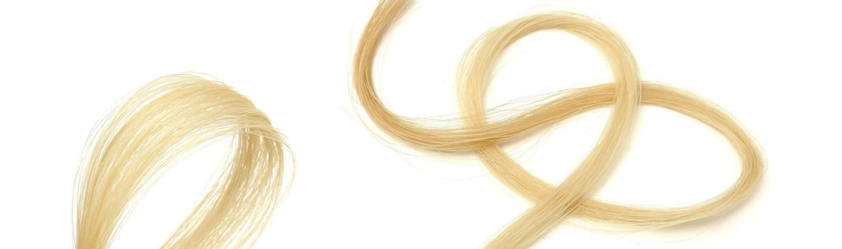 Horse hair for string instrument bows