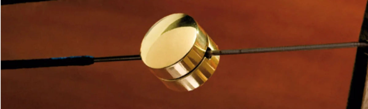 Close-up of a wolf eliminator on a cello string