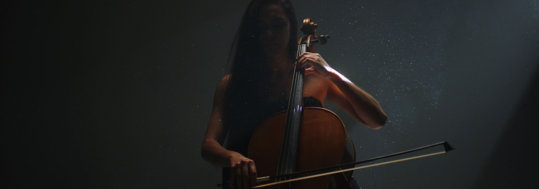 Professional Cellos