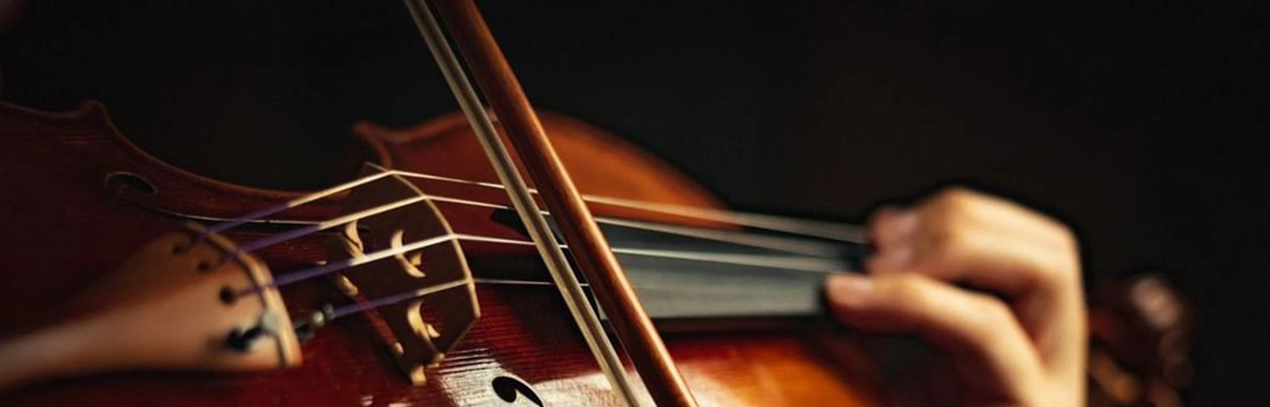 15% off all products from Holstein Violins