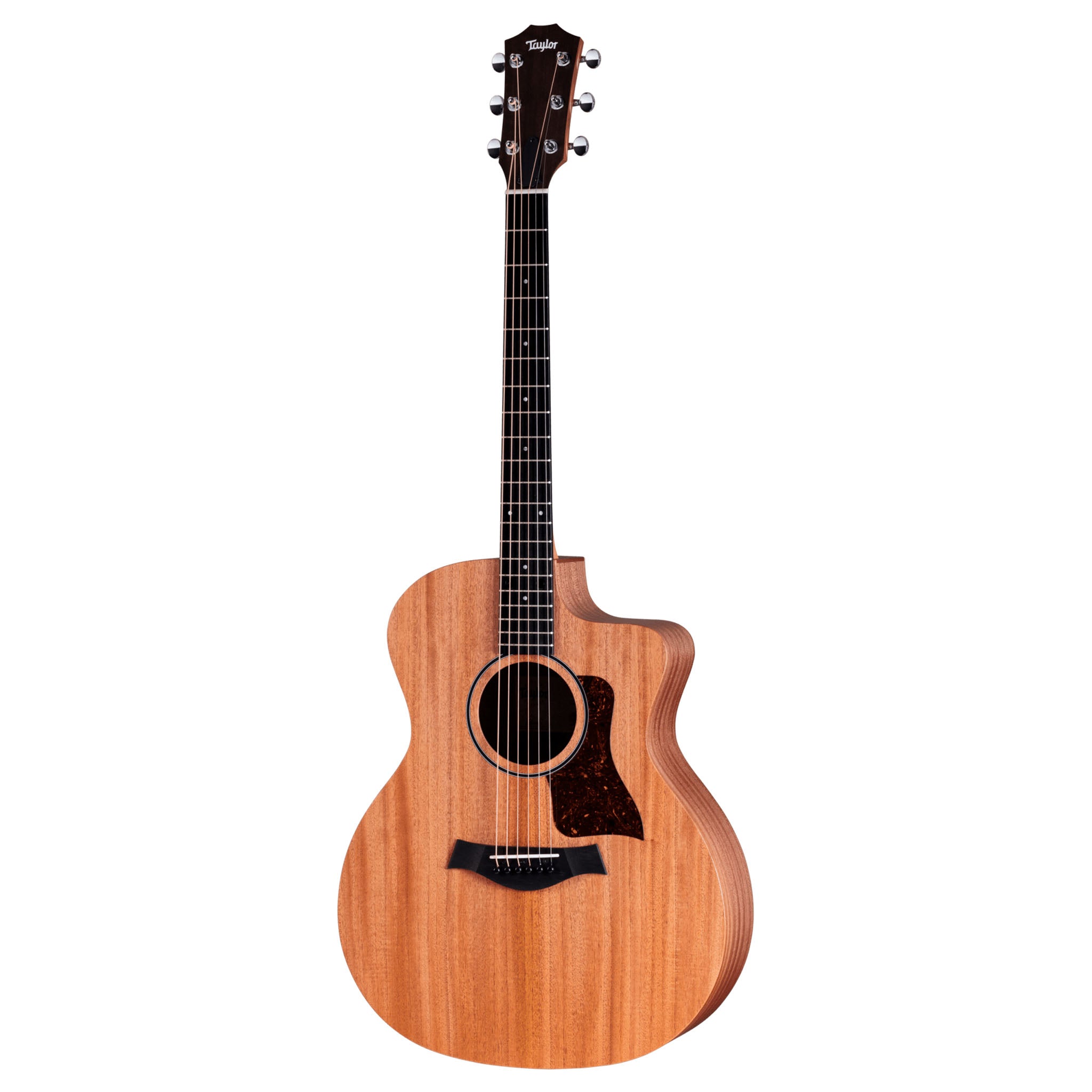 Taylor Academy 24ce Sapele & Mahogany Acoustic-Electric Guitar