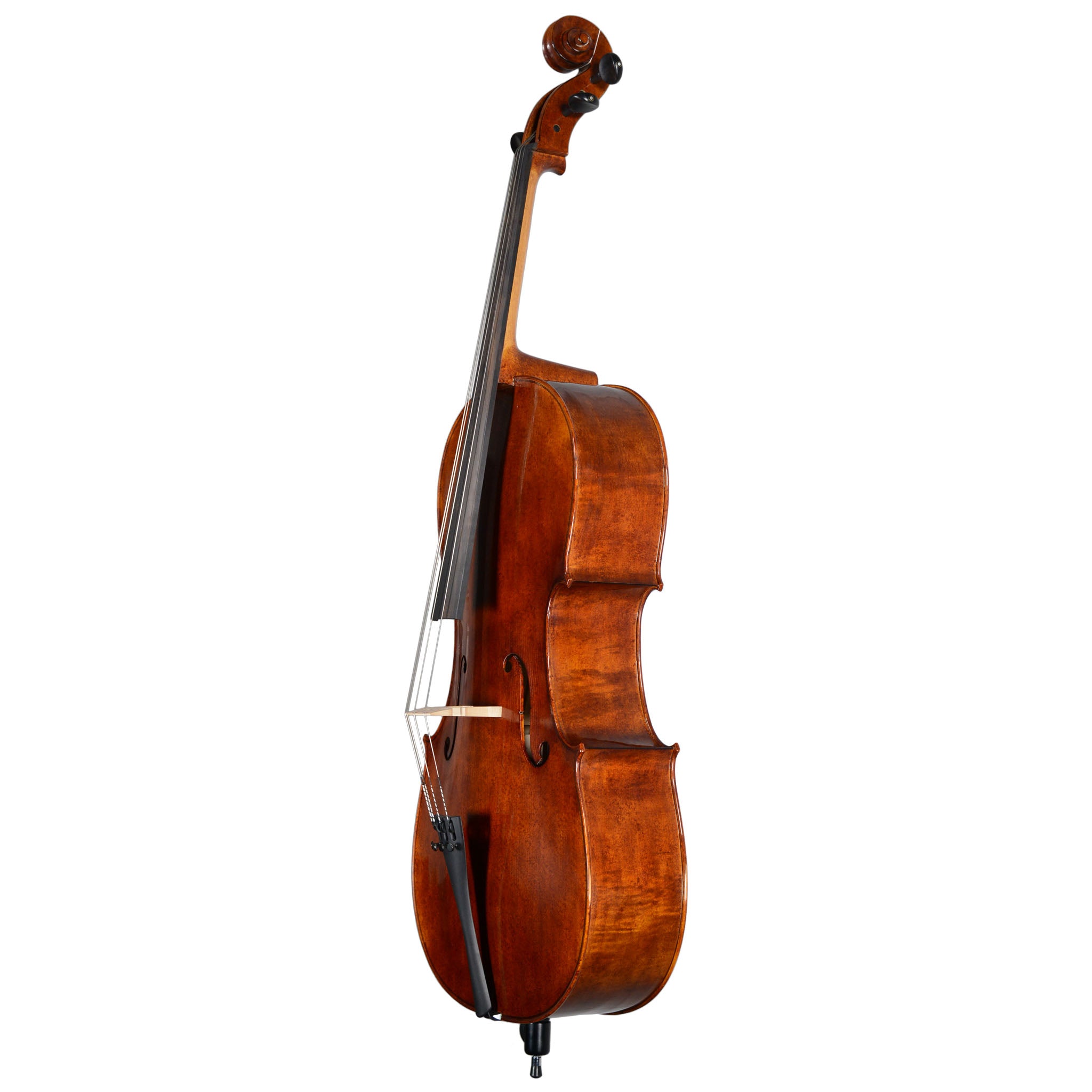 Core Conservatory C30 Cello