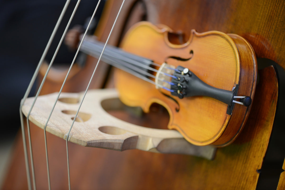 Close-up of a violin resting against a cello, highlighting the violin’s warm amber varnish, fine tuners, and the cello’s wooden bridge and strings.