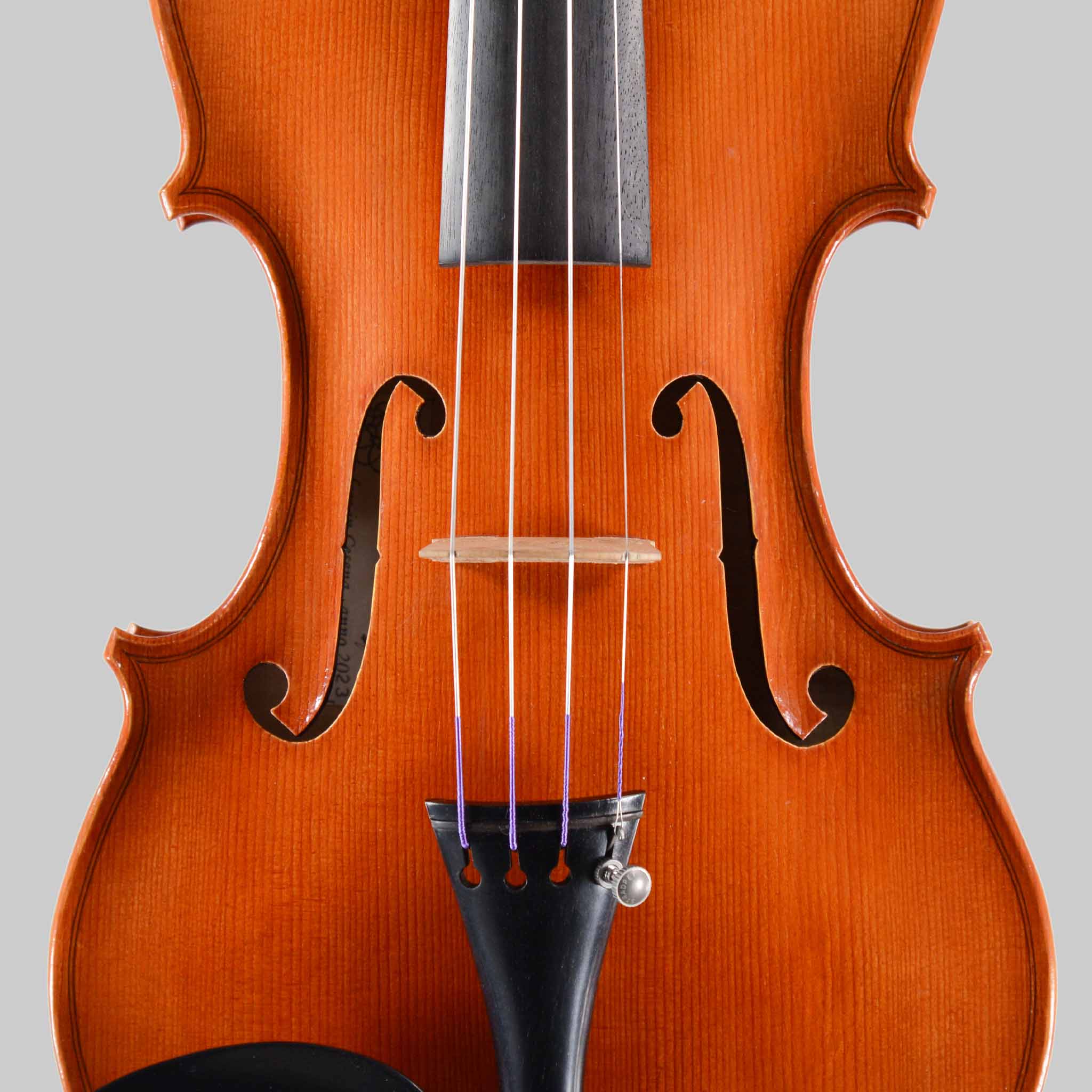 Francesco Pierotti, Cesena Italy, Violin 2023