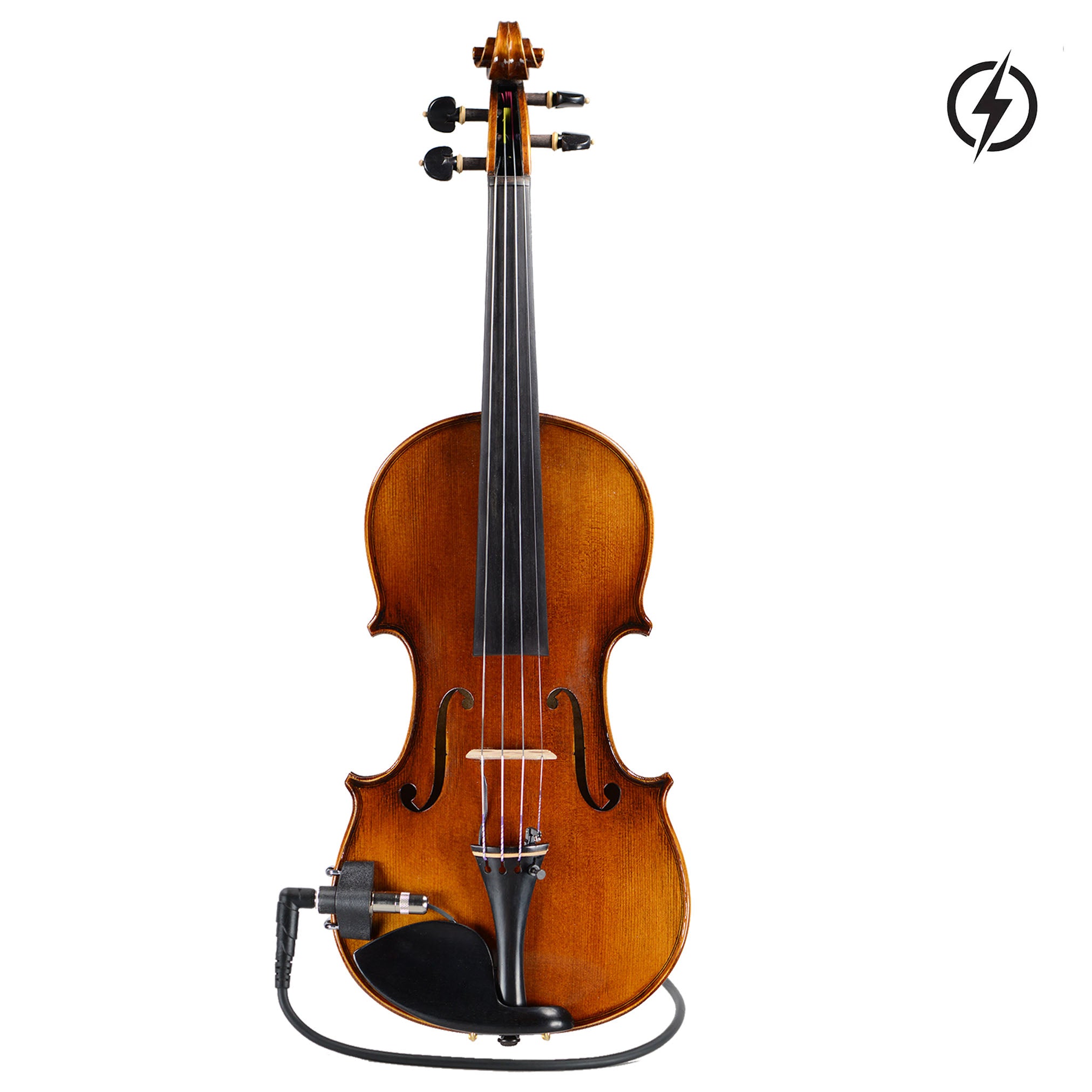 Fiddlerman Master AE Series Violin Outfit