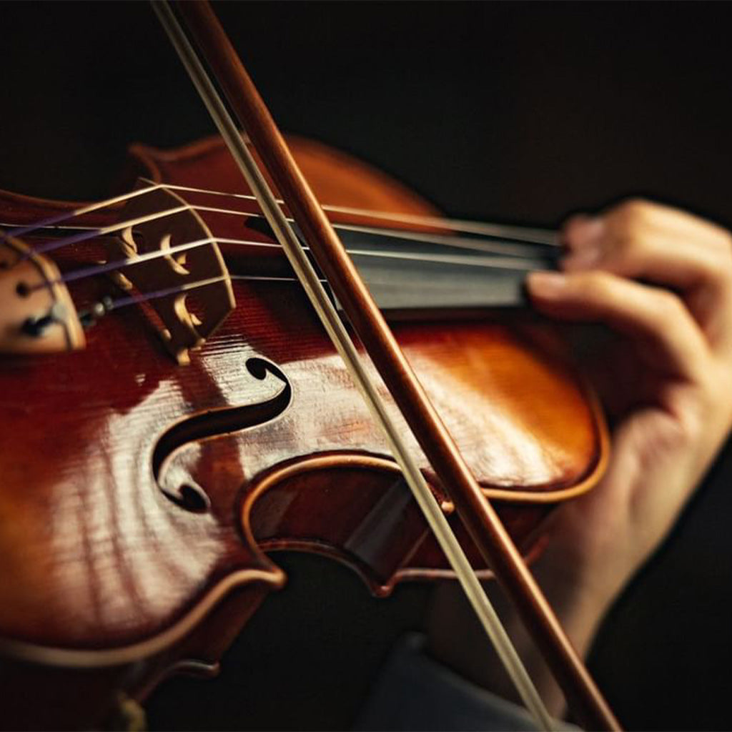 For all your string instrument needs - Violin, Viola, Cellos & Bass