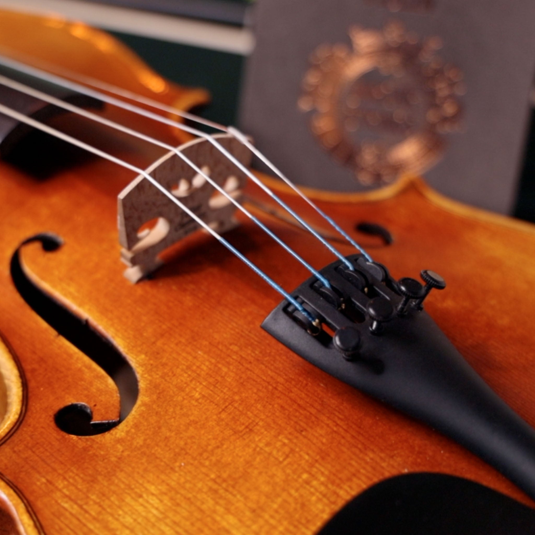 Violin string store shop