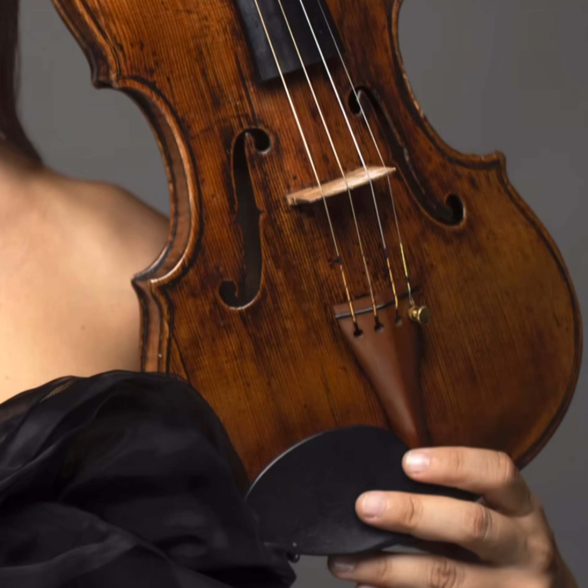 Larsen Il Cannone Violin String Set Package - Installed on violin