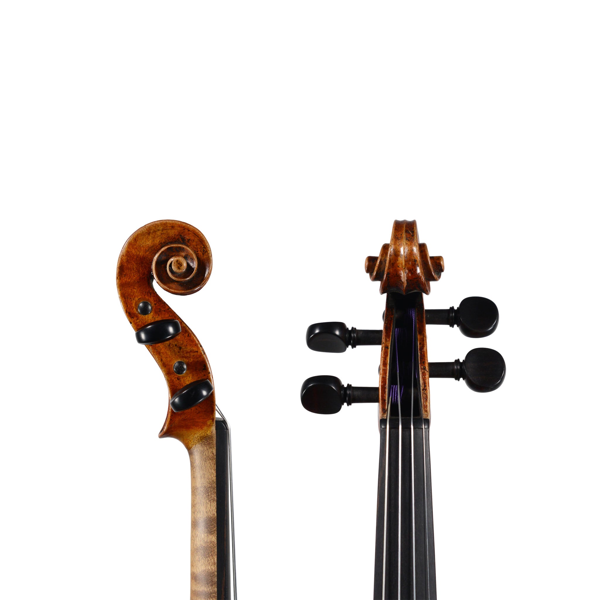 Giuseppe Lucci, Ravenna 1943, Violin