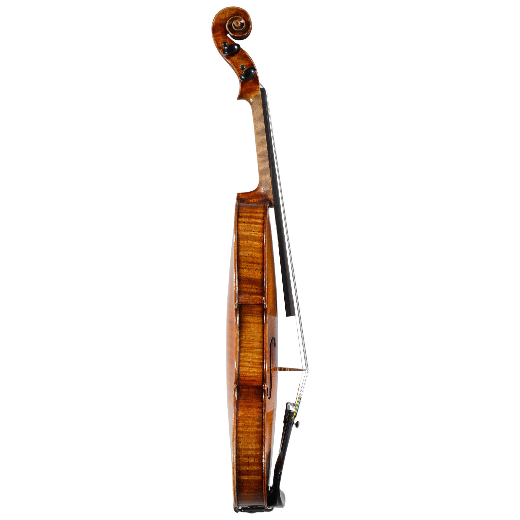 Giuseppe Lucci, Ravenna 1943, Violin