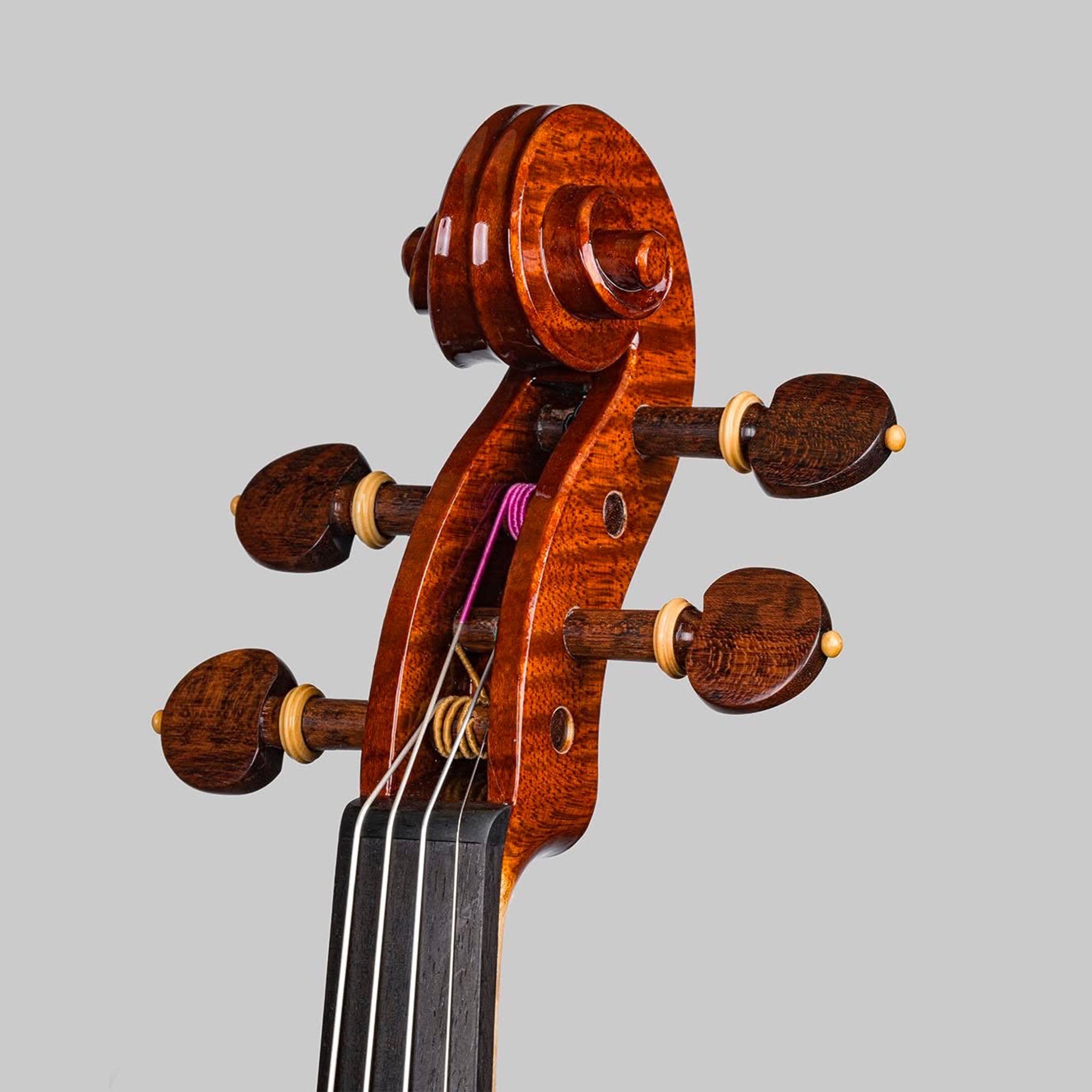 Marco Cargnelutti, Udine Italy 2026, 'Perseus' Violin