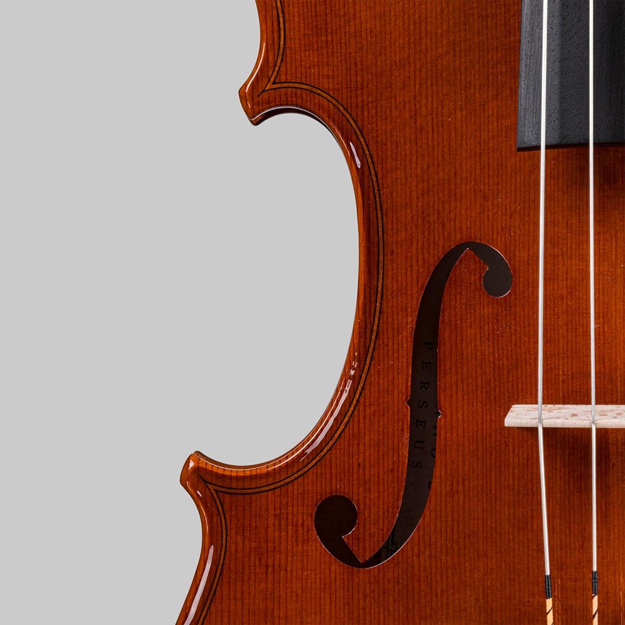 Marco Cargnelutti, Udine Italy 2026, 'Perseus' Violin