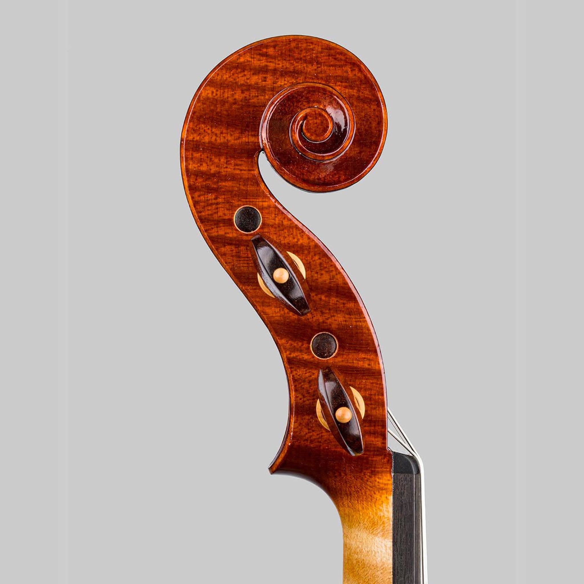 Marco Cargnelutti, Udine Italy 2026, 'Perseus' Violin