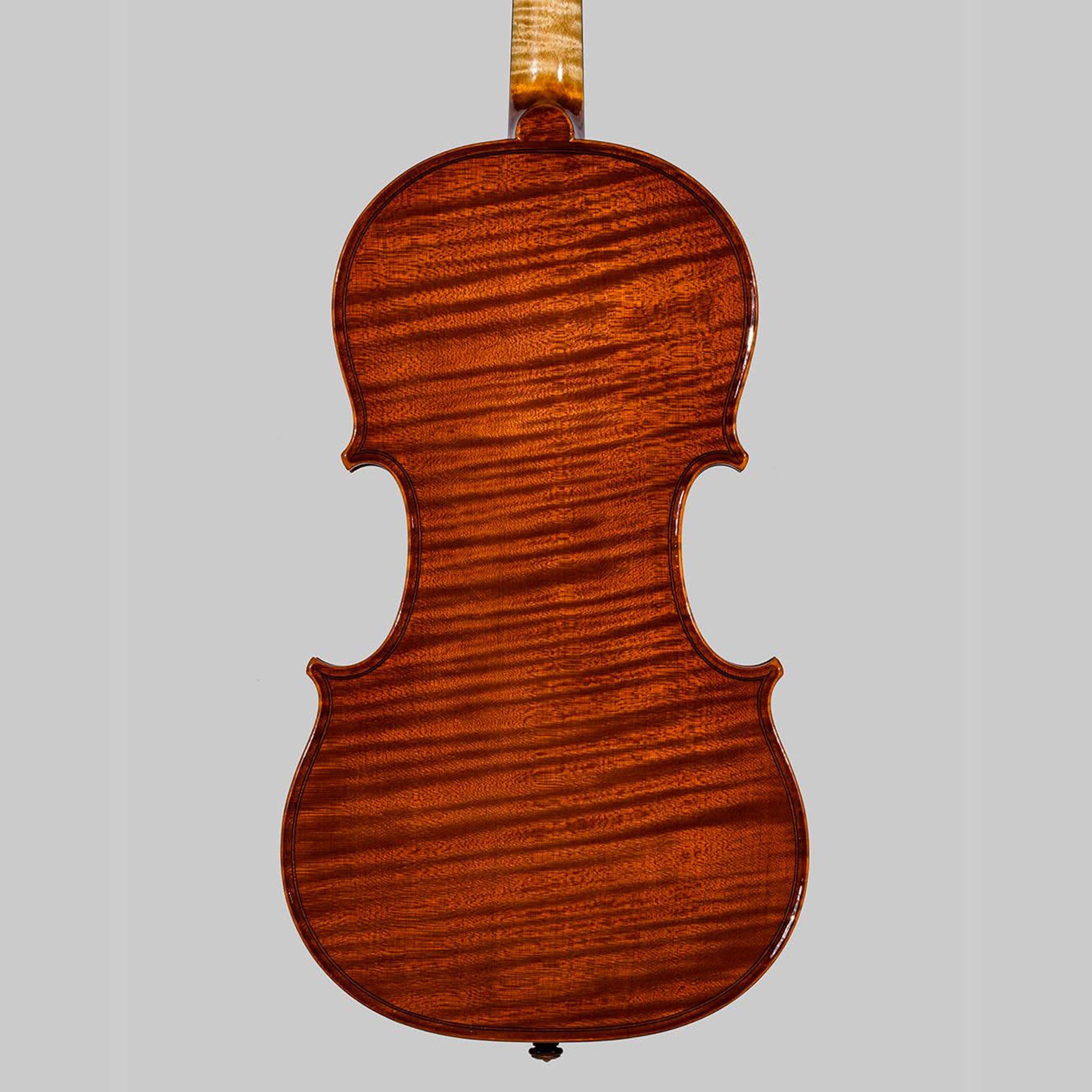Marco Cargnelutti, Udine Italy 2026, 'Perseus' Violin
