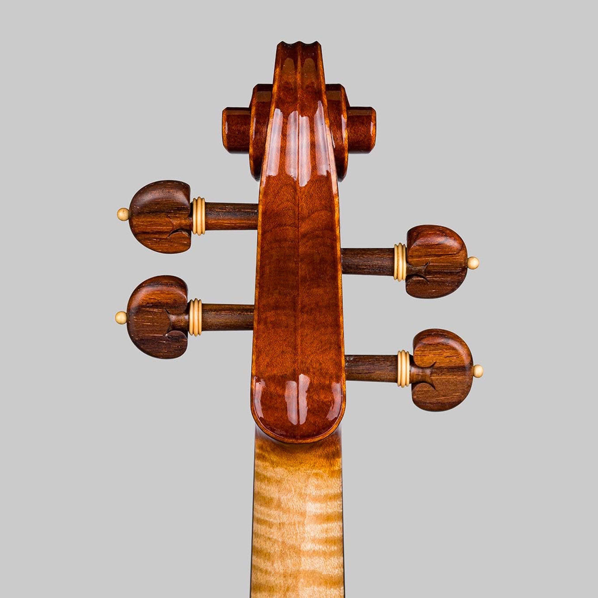 Marco Cargnelutti, Udine Italy 2026, 'Ophiuchus' Violin