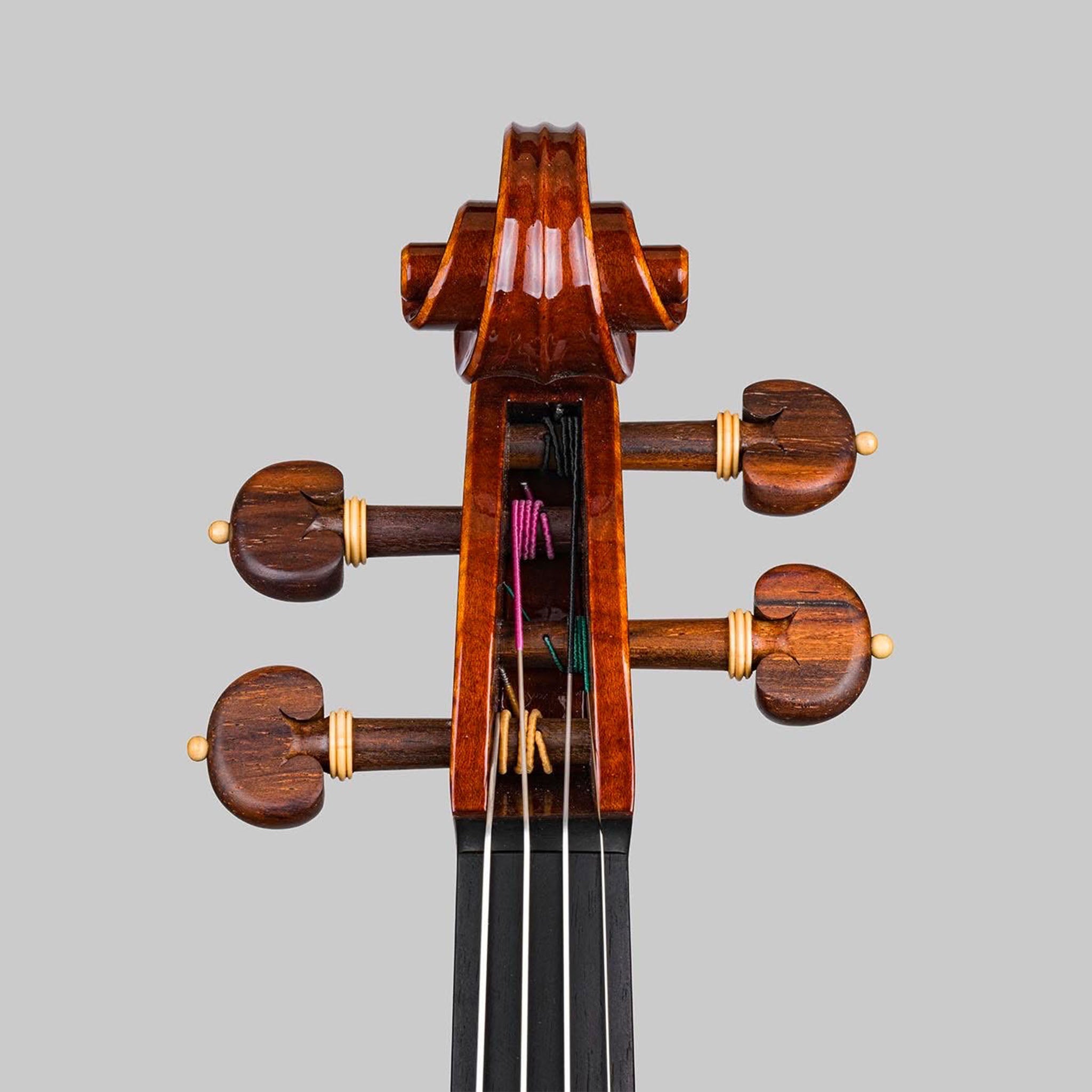 Marco Cargnelutti, Udine Italy 2026, 'Ophiuchus' Violin