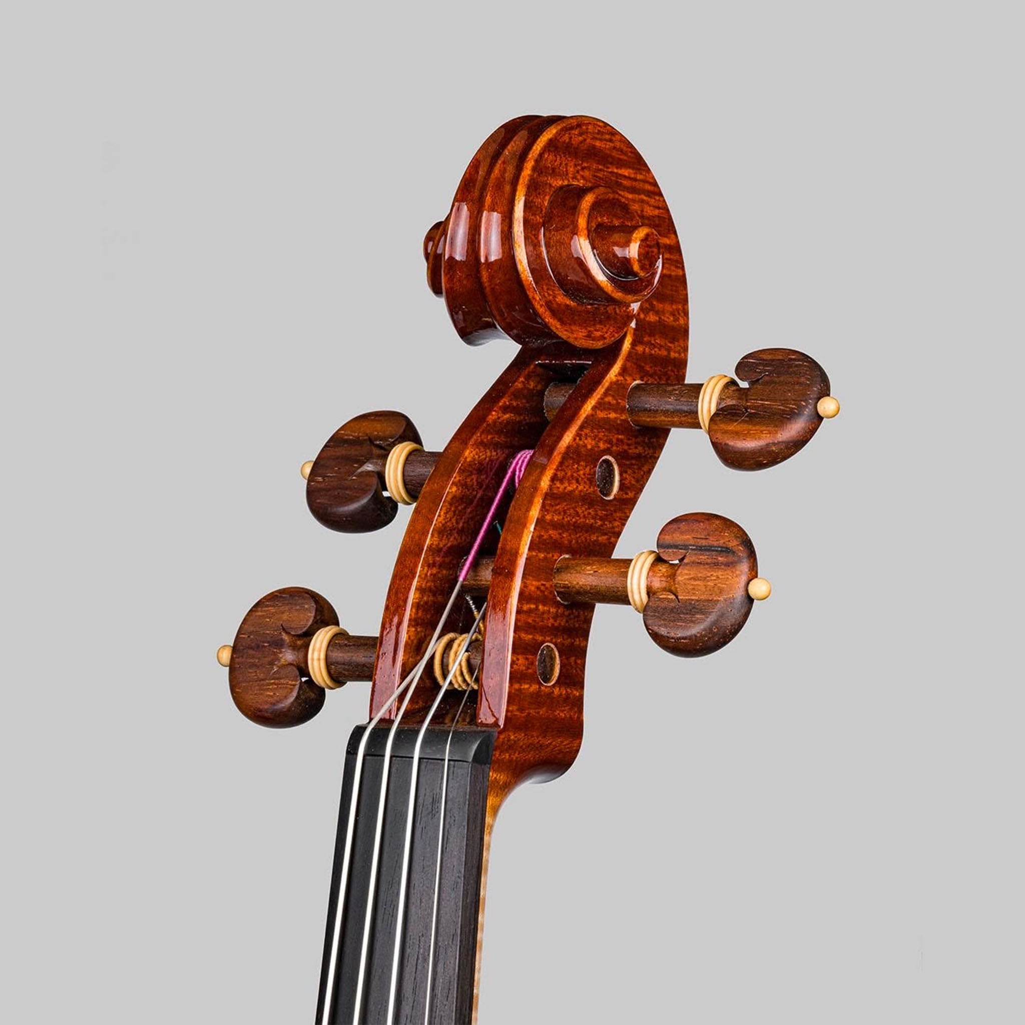 Marco Cargnelutti, Udine Italy 2026, 'Ophiuchus' Violin