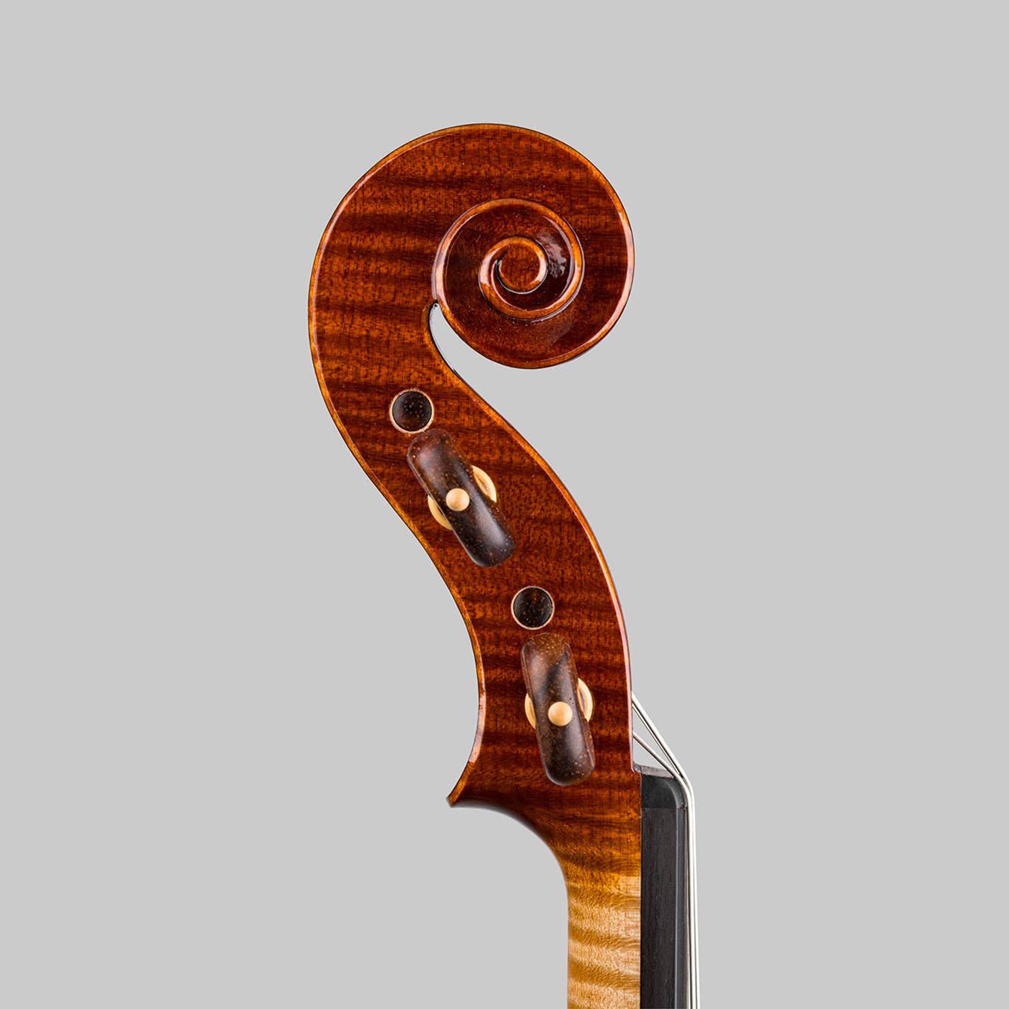 Marco Cargnelutti, Udine Italy 2026, 'Ophiuchus' Violin