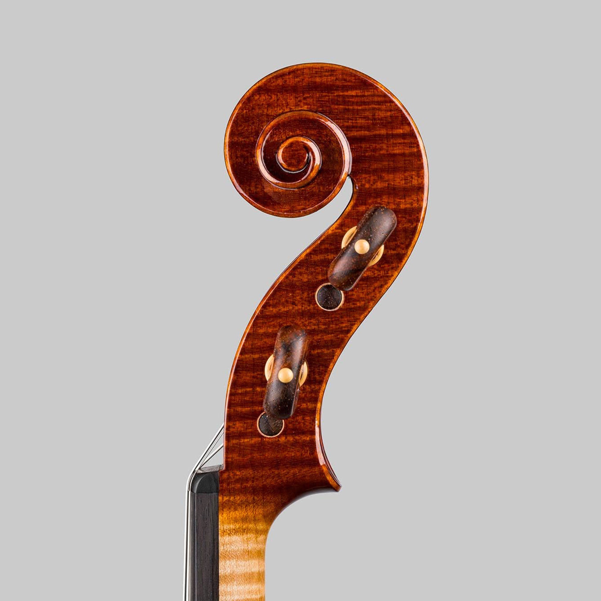 Marco Cargnelutti, Udine Italy 2026, 'Ophiuchus' Violin