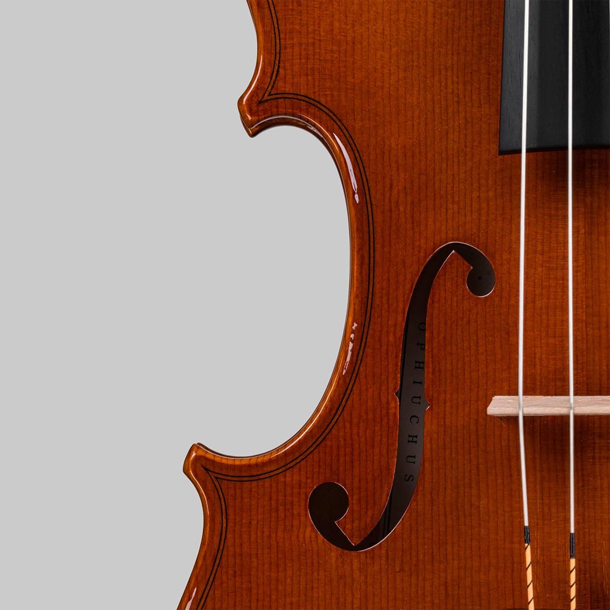 Marco Cargnelutti, Udine Italy 2026, 'Ophiuchus' Violin