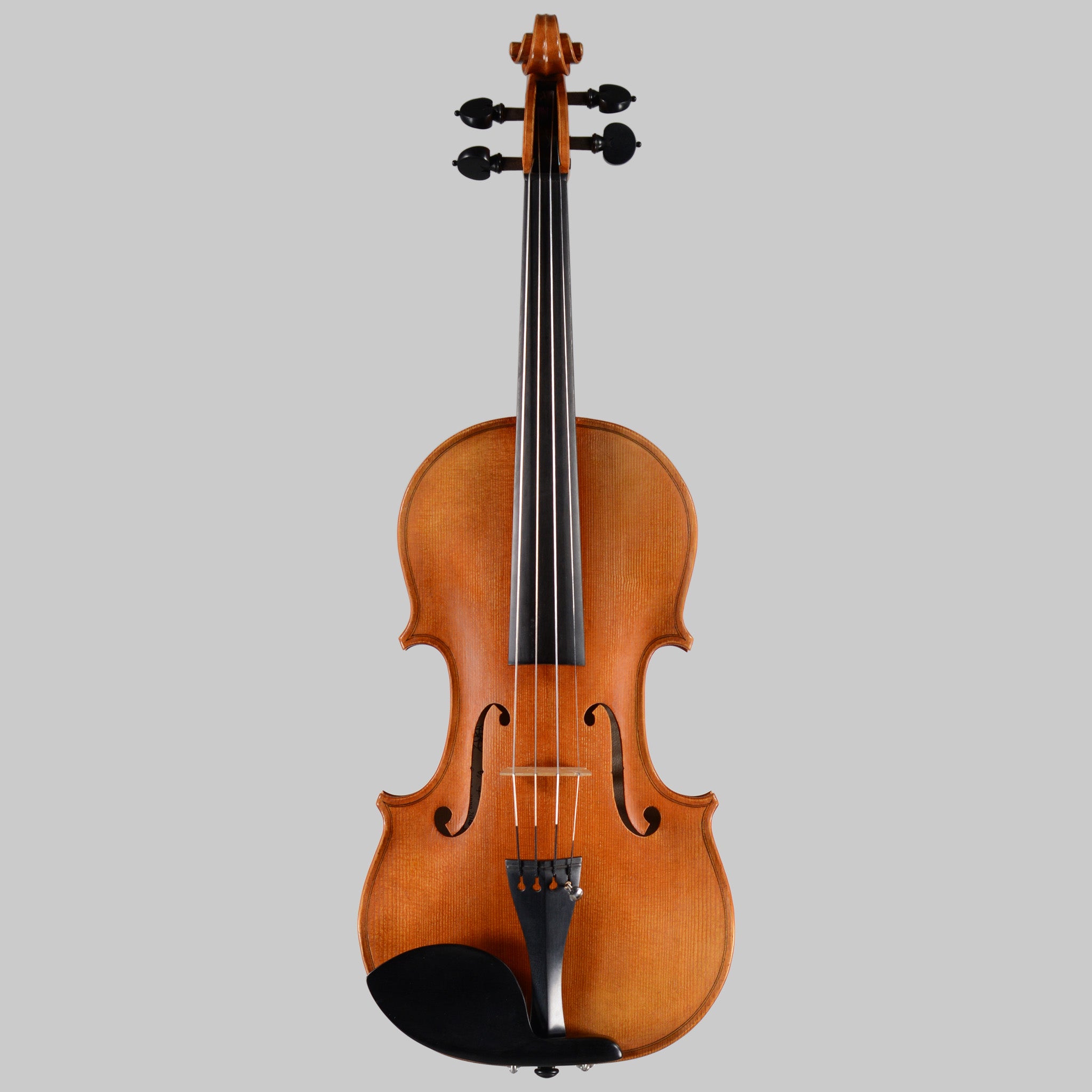 Francesco Pierotti, Cesena 2026, 'Medici' Stradivari Violin