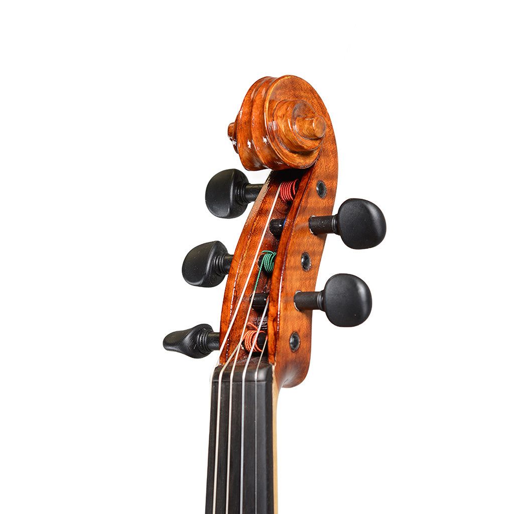 Realist Pro Acoustic-Electric 5-String Violin with Case