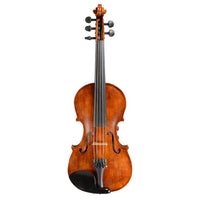 Realist Pro Acoustic-Electric 5-String Violin with Case