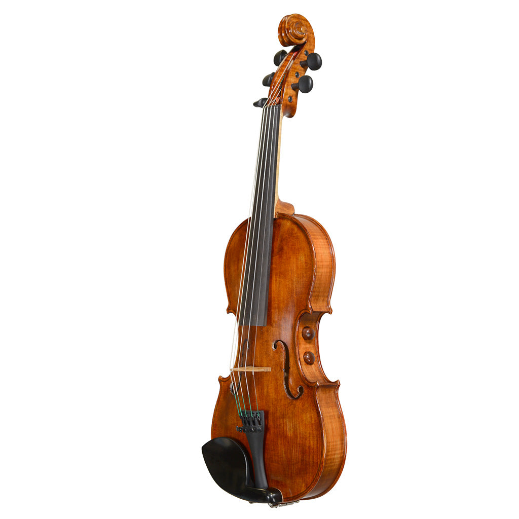 Realist Pro Acoustic-Electric 5-String Violin with Case